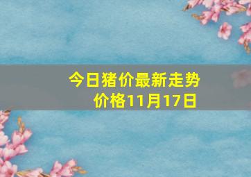 今日猪价最新走势价格11月17日