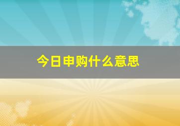 今日申购什么意思