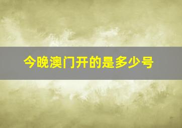 今晚澳门开的是多少号