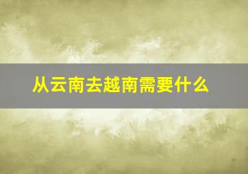 从云南去越南需要什么