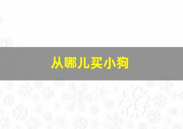 从哪儿买小狗