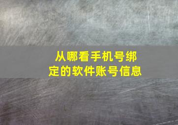 从哪看手机号绑定的软件账号信息