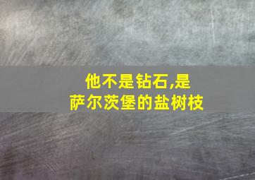 他不是钻石,是萨尔茨堡的盐树枝