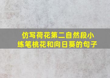 仿写荷花第二自然段小练笔桃花和向日葵的句子