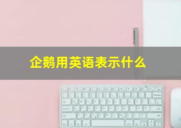 企鹅用英语表示什么