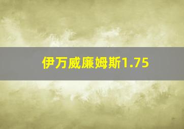 伊万威廉姆斯1.75