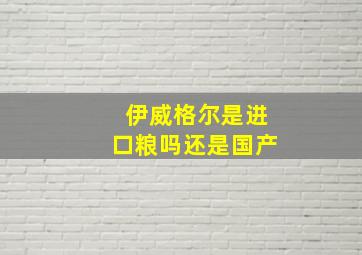 伊威格尔是进口粮吗还是国产