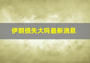 伊朗损失大吗最新消息