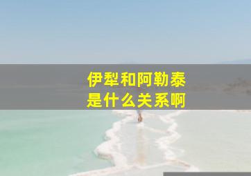 伊犁和阿勒泰是什么关系啊