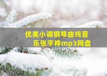 优美小调钢琴曲纯音乐张宇桦mp3网盘