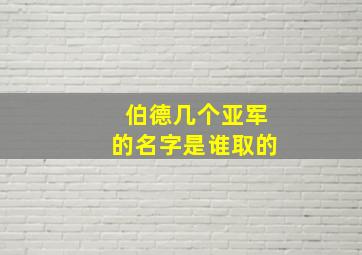 伯德几个亚军的名字是谁取的