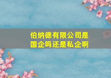 伯纳德有限公司是国企吗还是私企啊