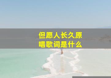 但愿人长久原唱歌词是什么