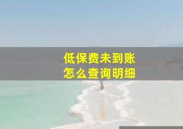 低保费未到账怎么查询明细