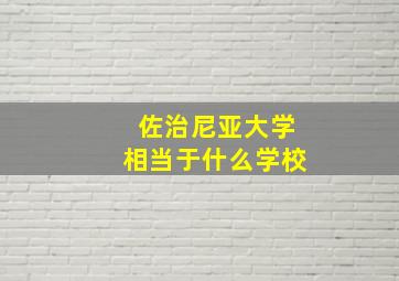 佐治尼亚大学相当于什么学校