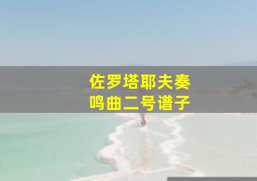 佐罗塔耶夫奏鸣曲二号谱子