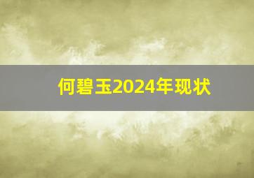 何碧玉2024年现状