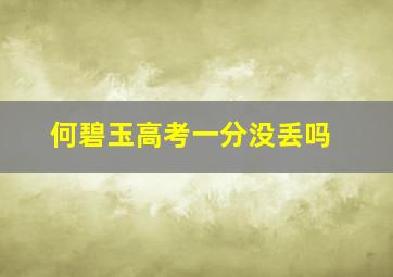 何碧玉高考一分没丢吗