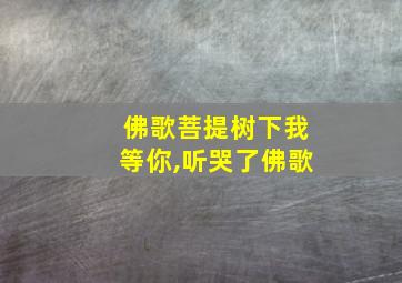 佛歌菩提树下我等你,听哭了佛歌