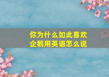 你为什么如此喜欢企鹅用英语怎么说