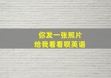 你发一张照片给我看看呗英语