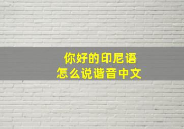 你好的印尼语怎么说谐音中文