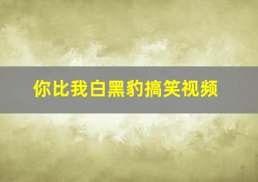 你比我白黑豹搞笑视频