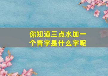 你知道三点水加一个青字是什么字呢