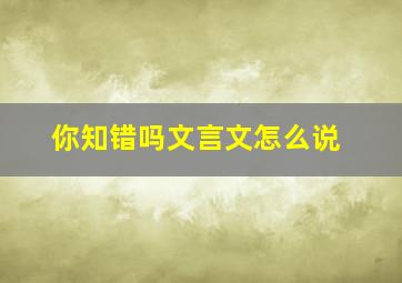 你知错吗文言文怎么说