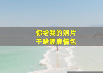 你给我的照片干啥呢表情包