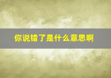 你说错了是什么意思啊