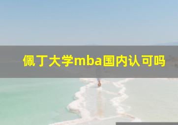 佩丁大学mba国内认可吗