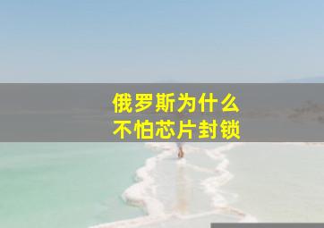 俄罗斯为什么不怕芯片封锁