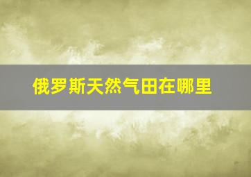 俄罗斯天然气田在哪里