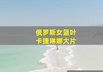 俄罗斯女篮叶卡捷琳娜大片