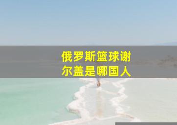 俄罗斯篮球谢尔盖是哪国人