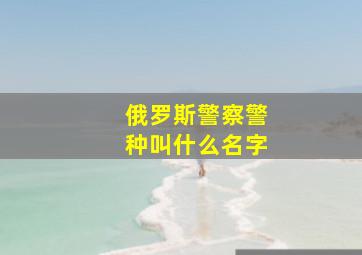 俄罗斯警察警种叫什么名字