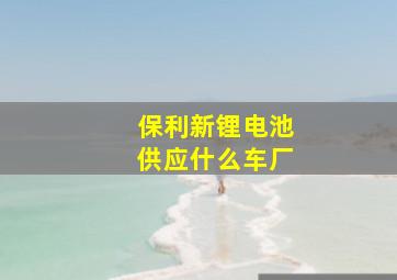 保利新锂电池供应什么车厂