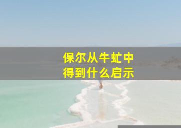 保尔从牛虻中得到什么启示