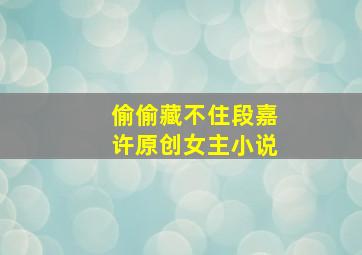 偷偷藏不住段嘉许原创女主小说