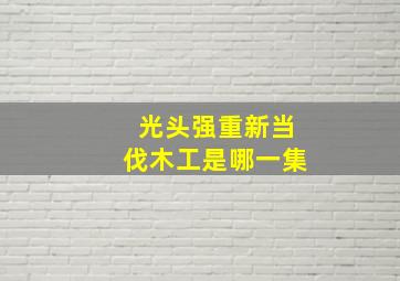 光头强重新当伐木工是哪一集