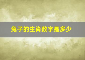 兔子的生肖数字是多少