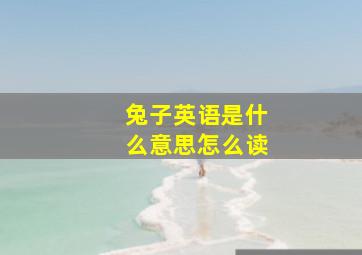 兔子英语是什么意思怎么读