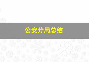 公安分局总结