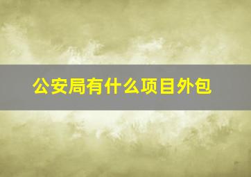 公安局有什么项目外包