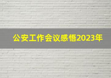 公安工作会议感悟2023年