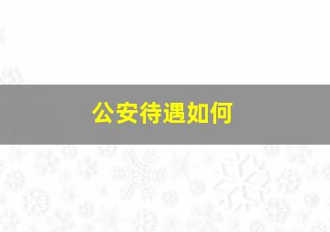 公安待遇如何