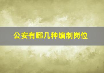 公安有哪几种编制岗位