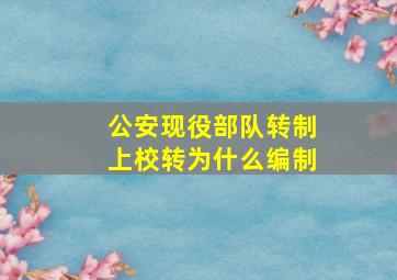 公安现役部队转制上校转为什么编制