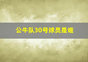 公牛队30号球员是谁